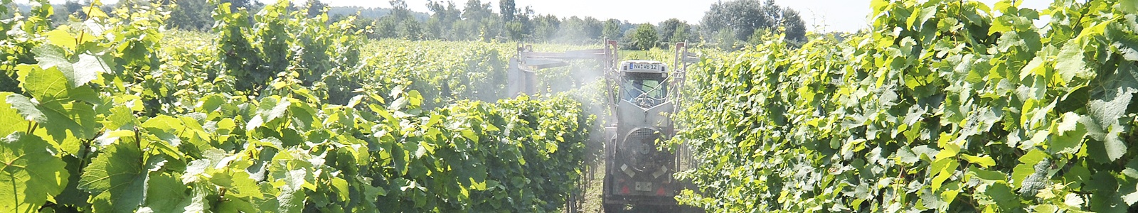 Traktor mit Pflanzenschutzspritze im Weinberg ©Feuerbach